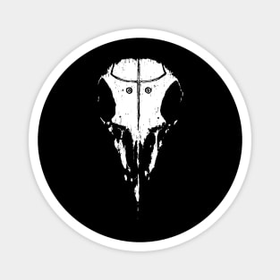 Raven Skull Magnet